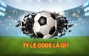 Odds là gì là tỷ lệ do nhà cái cung cấp để bạn có thể tính số tiền thắng/thua cược