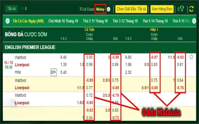 Odds Malaysia hay Mã Lai Odds có 2 định dạng là số âm và số dương